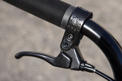 Sunday Scout (Gloss Pine Green with 20.75" tt)