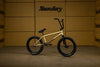 Sunday Wavelength - Gary Young Signature (Matte Gold Metallic with 21" tt in RHD/LHD)