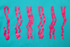 Sunday High Wave Long Sleeve (Teal w/ Hot Pink Ink)